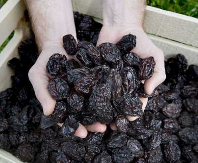 Сорти слив для сушіння