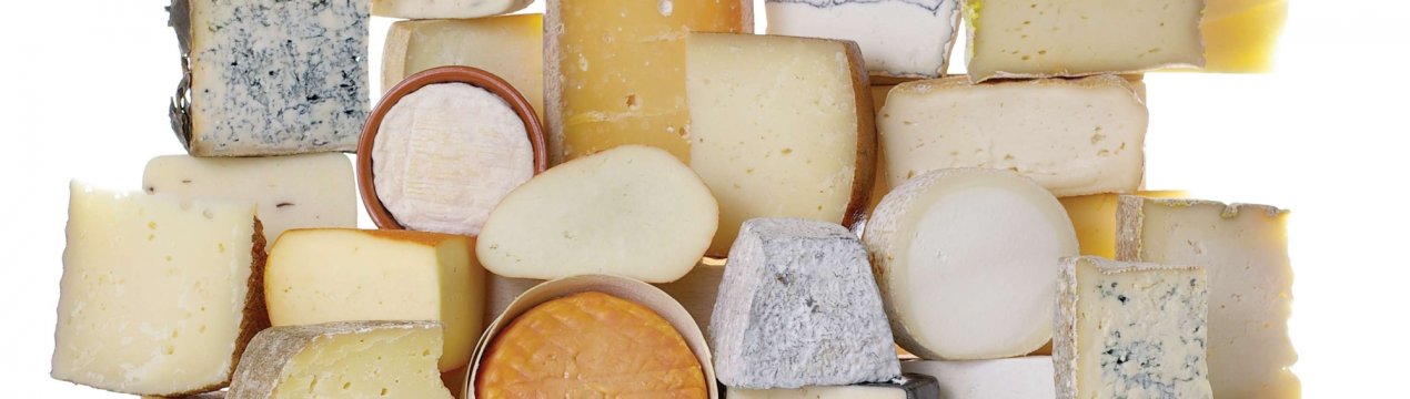 Під Новосибірськом «виросте» найбільший сирний завод в країні