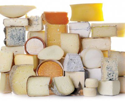 Під Новосибірськом «виросте» найбільший сирний завод в країні