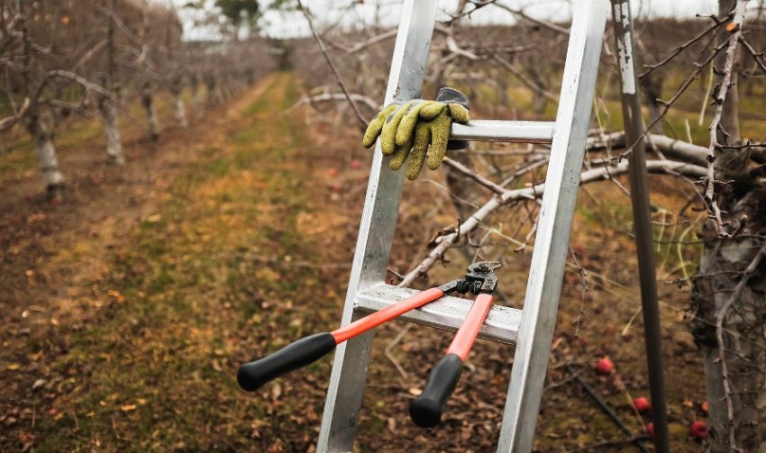 Інструменти для обрізки