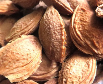 Особливості застосування сливових кісточок