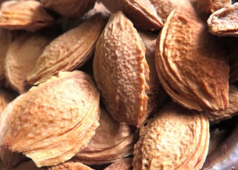 Особливості застосування сливових кісточок