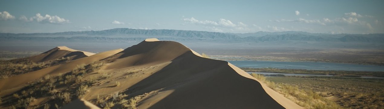 Kusto Group підтримає інвестиціями сільське господарство Казахстану