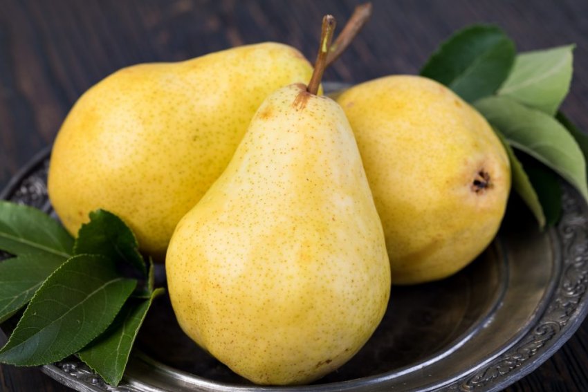 Груша Шарль Коньє