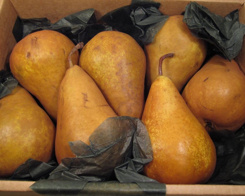 Зберігання груш на зиму