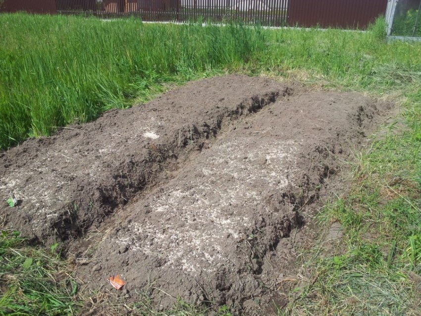 Ділянка під посадку злив