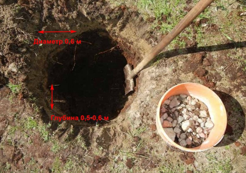 Підготовка посадкової ями