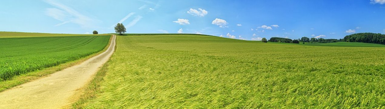 Одеська область лідирує за кількістю незареєстрованих державних земель