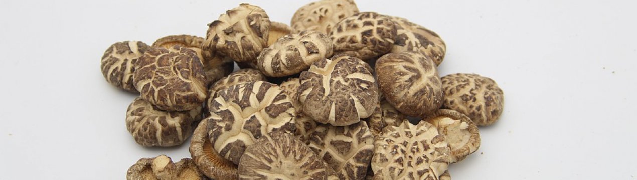 Прискорене вирощування грибів придумали в США