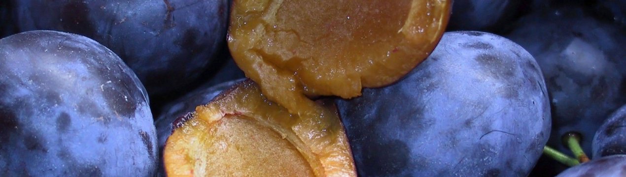 Особливості вживання сливи при цукровому діабеті