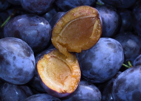 Особливості вживання сливи при цукровому діабеті