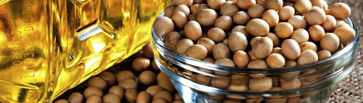 Експортний рекорд України