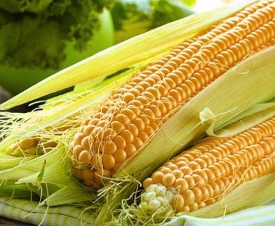 В Україні збільшився експорт кукурудзи