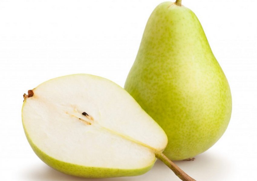 Плоди груші сорту Ніжність Плоди груші сорту Ніжність