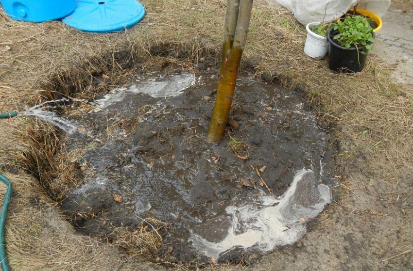 Пристовбурне коло для поливу Пристовбурне коло для поливу