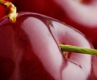 Вплив вишень на організм при грудному вигодовуванні
