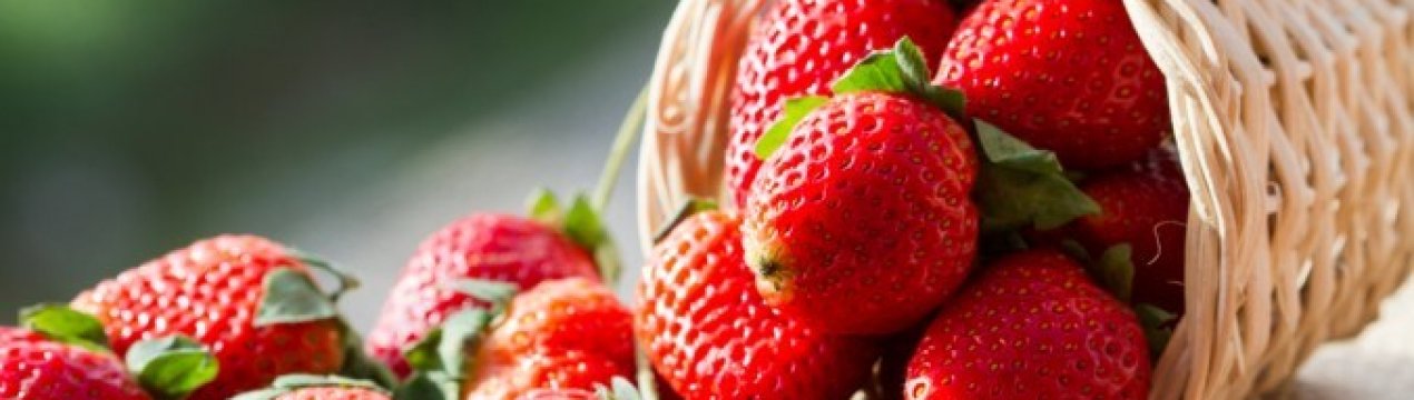 В Європі в рік споживають близько 1,2 млн тонн садової суниці