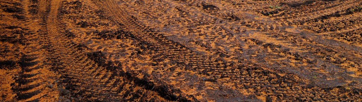 Нічийна земля на Запоріжжі виявилася державної. Заповзятливий фермер покараний