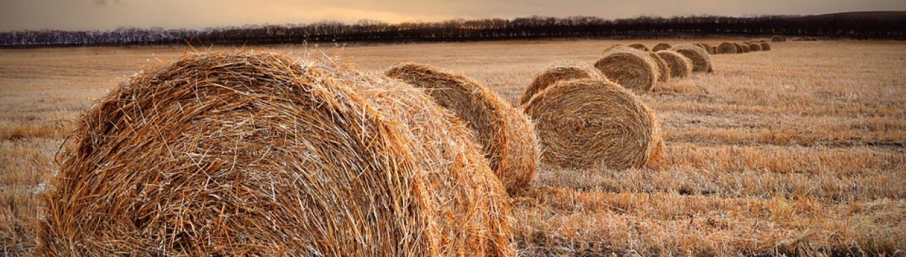 Волинським об'єднаним територіальним громадам передано тільки 75% земель