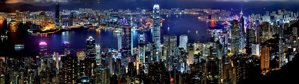 Вінницька область годує Китай курячими лапками