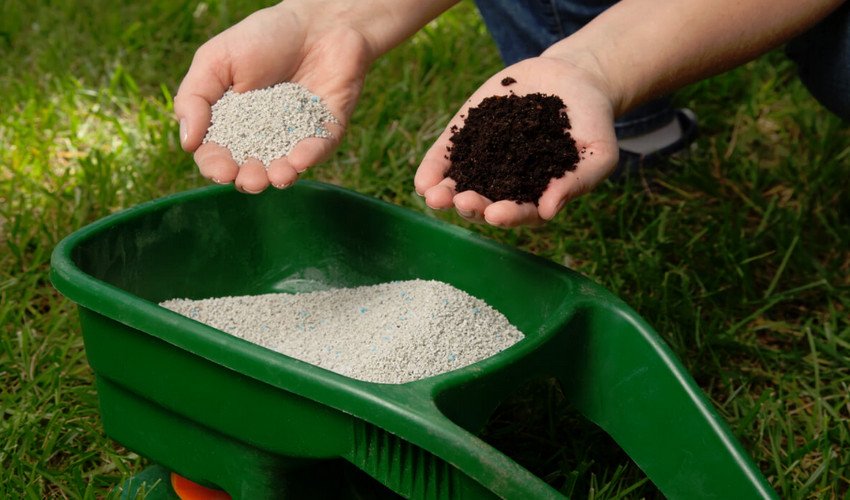 Сечовина та гній для підгодівлі груші