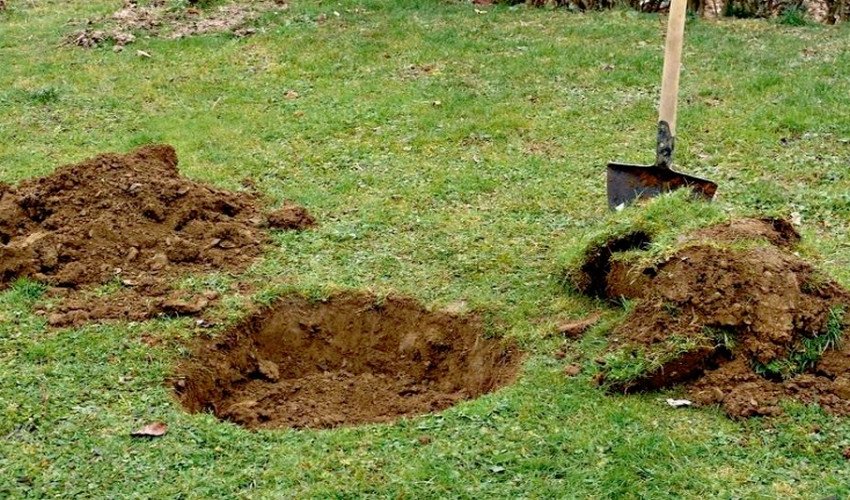 Підготовка посадкової ями