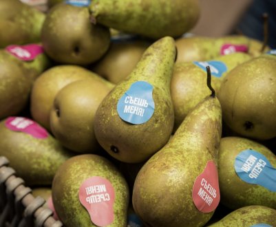 Груша Конференція: користь і шкода