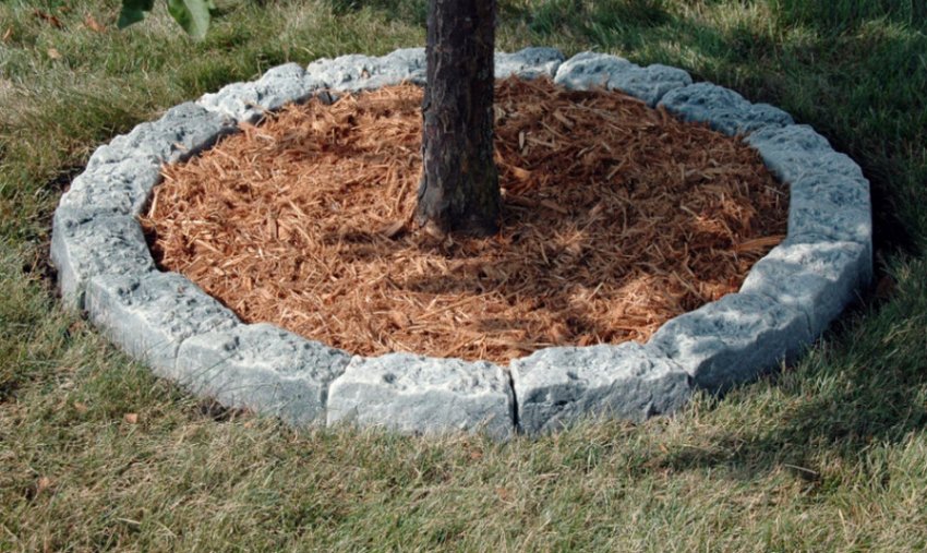 Мульчування