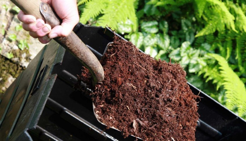 Підживлення