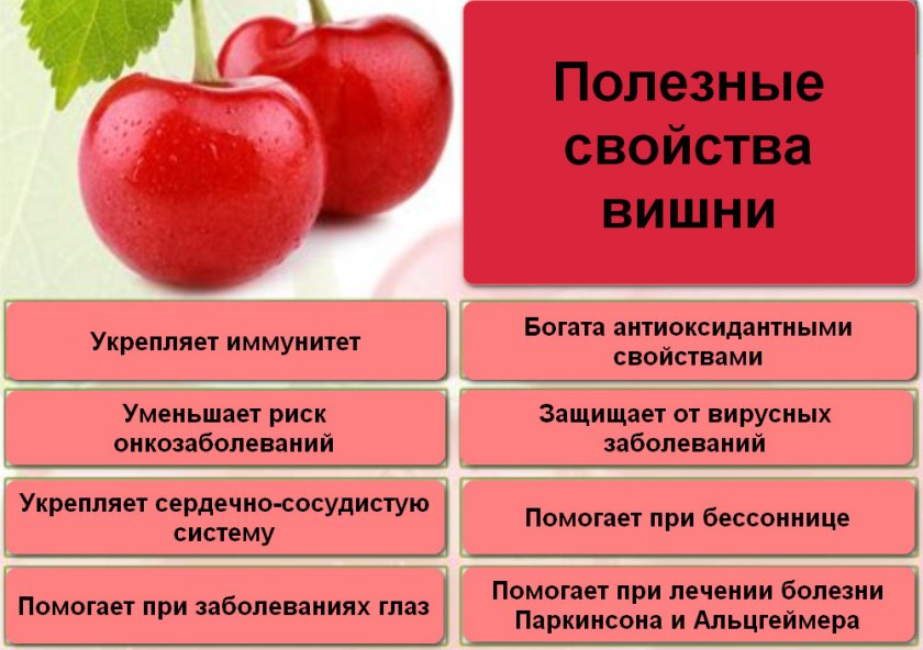 Полезные свойства вишни