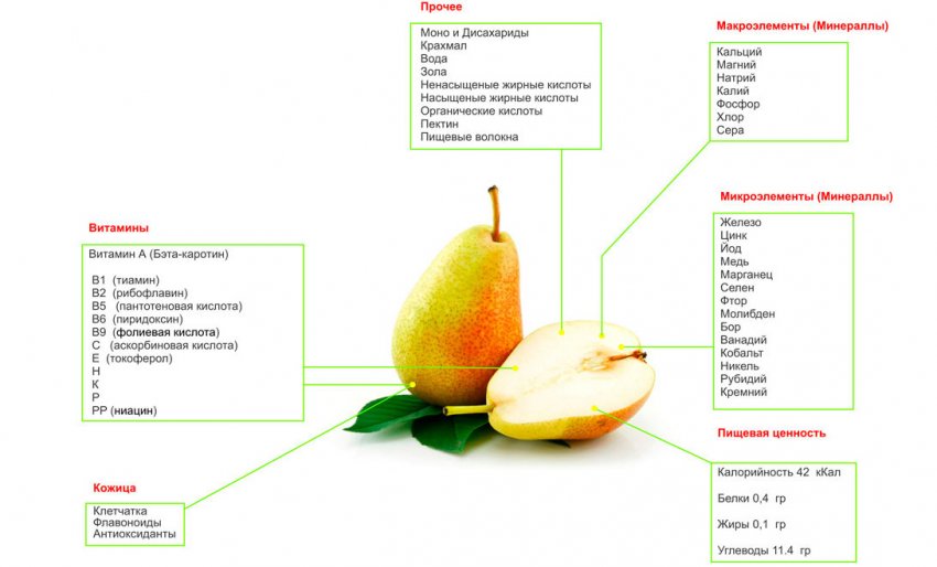 Складу груші