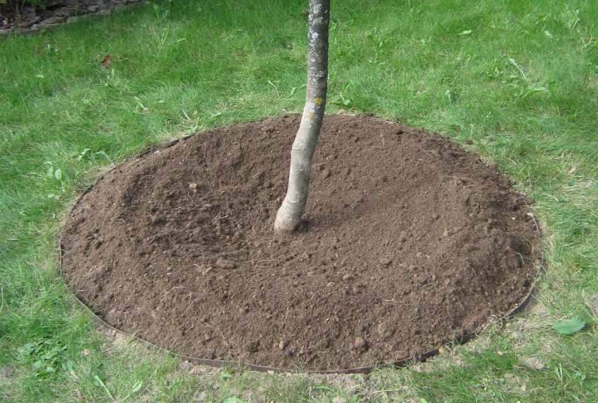 Пристовбурне коло Пристовбурне коло