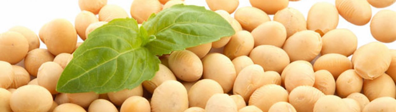 Країнами ЄС знижений тижневий імпорт соєвих бобів