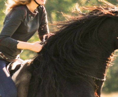 Як навчитися їздити галопом на коні: види їзди, основні правила