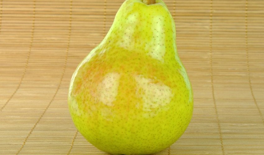 Груша Гера Груша Гера