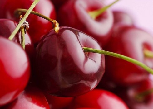 Як відрізнити вишню від черешні?