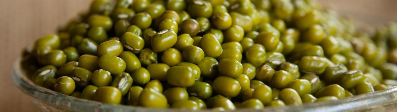 Вирощування маша на Україні: перспективи та труднощі