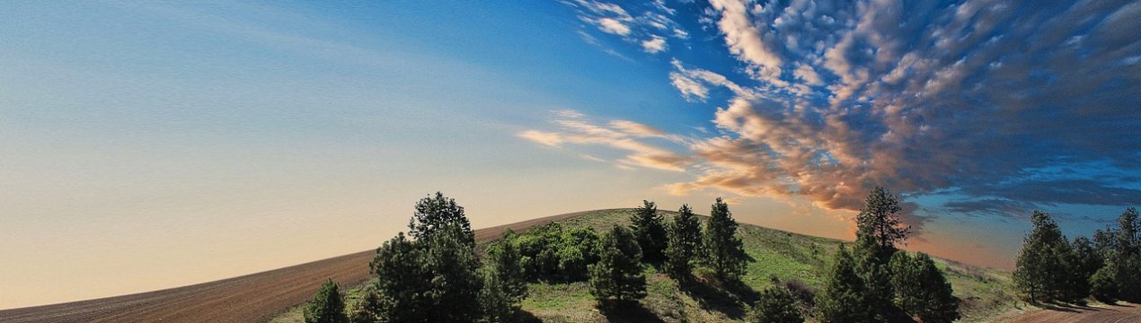 Агропідприємство незаконно користувалося землями в Тернопільській області