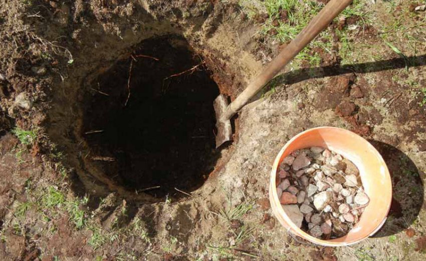 Посадкова яма Посадкова яма