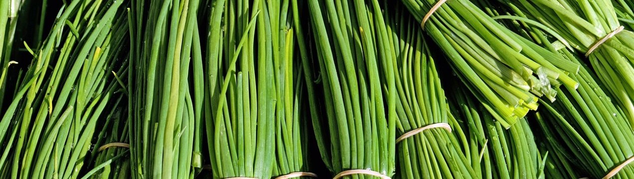 Ветеран АТО із Запоріжжя відкрив підприємство з вирощування цибулі