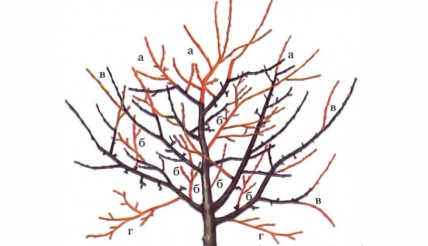 Підтримуюча обрізка Підтримуюча обрізка