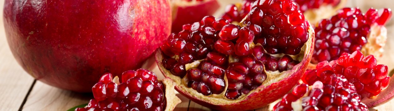 В Росію не пустили підступного ворога всіх фермерів — турецьку муху-горбатку