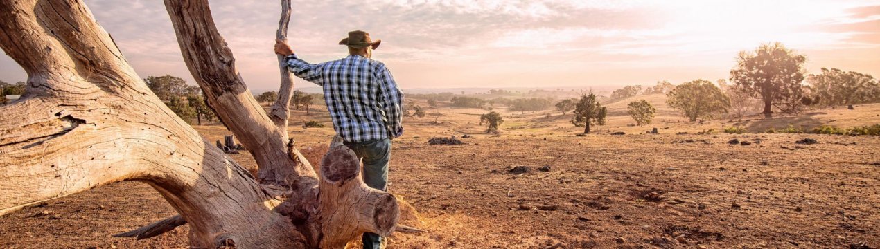 У наступному році російські фермери почнуть берегти національну безпеку