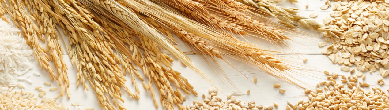 Довірливий фермер «потрапив» на мільйон рублів і втратив сотні тонн ячменю