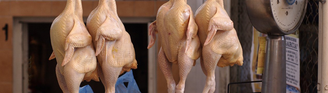 Російський ринок могли б окупувати кури з раніше заборонених країн. Але..