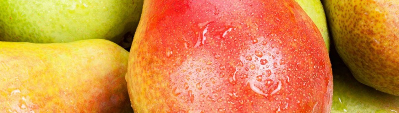 Особливості вирощування груші сорту Бере Жиффар