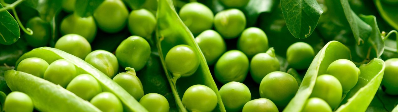 Китай збільшує поставки гороху в Європу