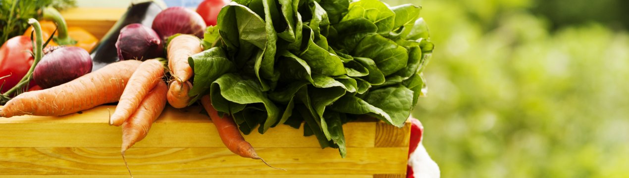 Прощай, депресія! Російський агропромисловий комплекс зміг вибратися з пучини туги і занепаду