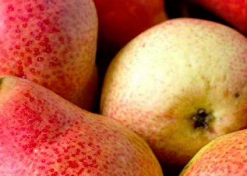 Как груша влияет на стул детей и взрослых