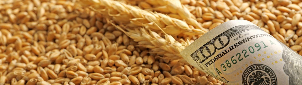 Єгипет планує закупити пшеницю